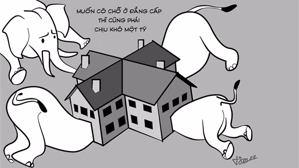 Phỏng vấn ông hàng phở ảnh 2