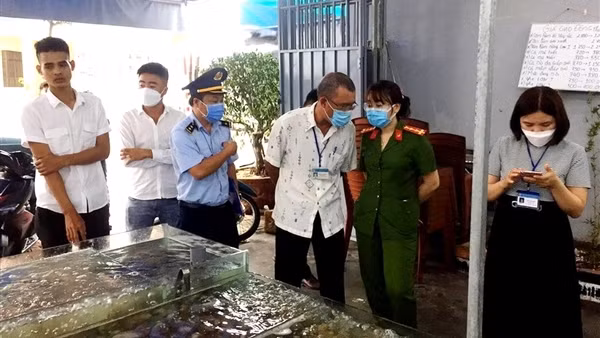 Mua khống hàng nghìn hóa đơn xăng dầu bán cho doanh nghiệp thu lời bất chính ảnh 4