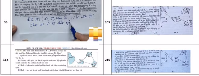 Sáng mai, xét xử hai cựu giáo viên làm lộ đề thi tốt nghiệp trung học phổ thông -0
