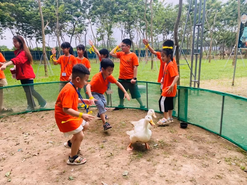 Hà Nội phát triển các điểm du lịch nông nghiệp, nông thôn -0