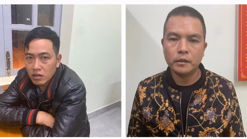 Bắt hai đối tượng ngang nhiên cưa phá rừng thông -0