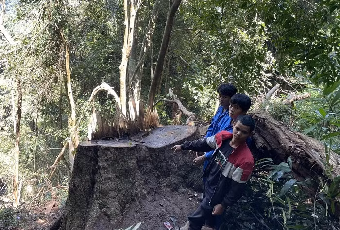 Công an vây bắt nhóm lâm tặc trong đêm -0