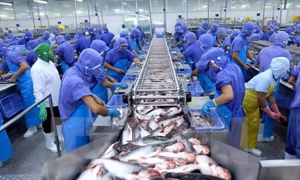 Xuất khẩu thủy sản kỳ vọng sẽ phục hồi -0