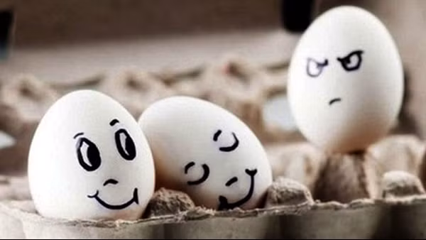 Thói ghen tỵ, đố kỵ của nhà văn