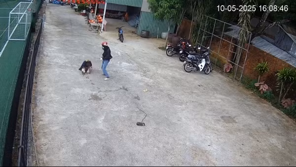 Truy tìm đối tượng chích điện tấn công nhiều người ở Phú Quốc