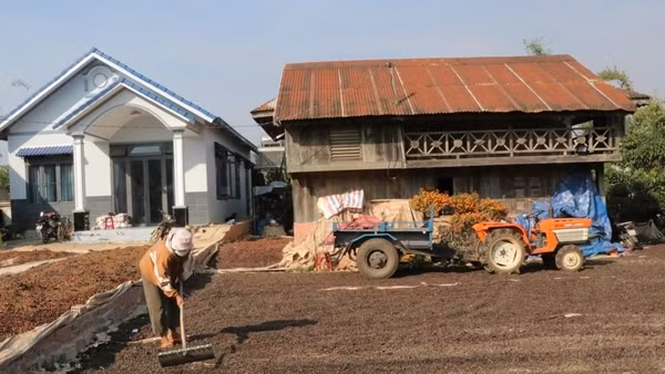 “Bí mật” về nhà truyền thống của người K’ho ở Tây Nguyên