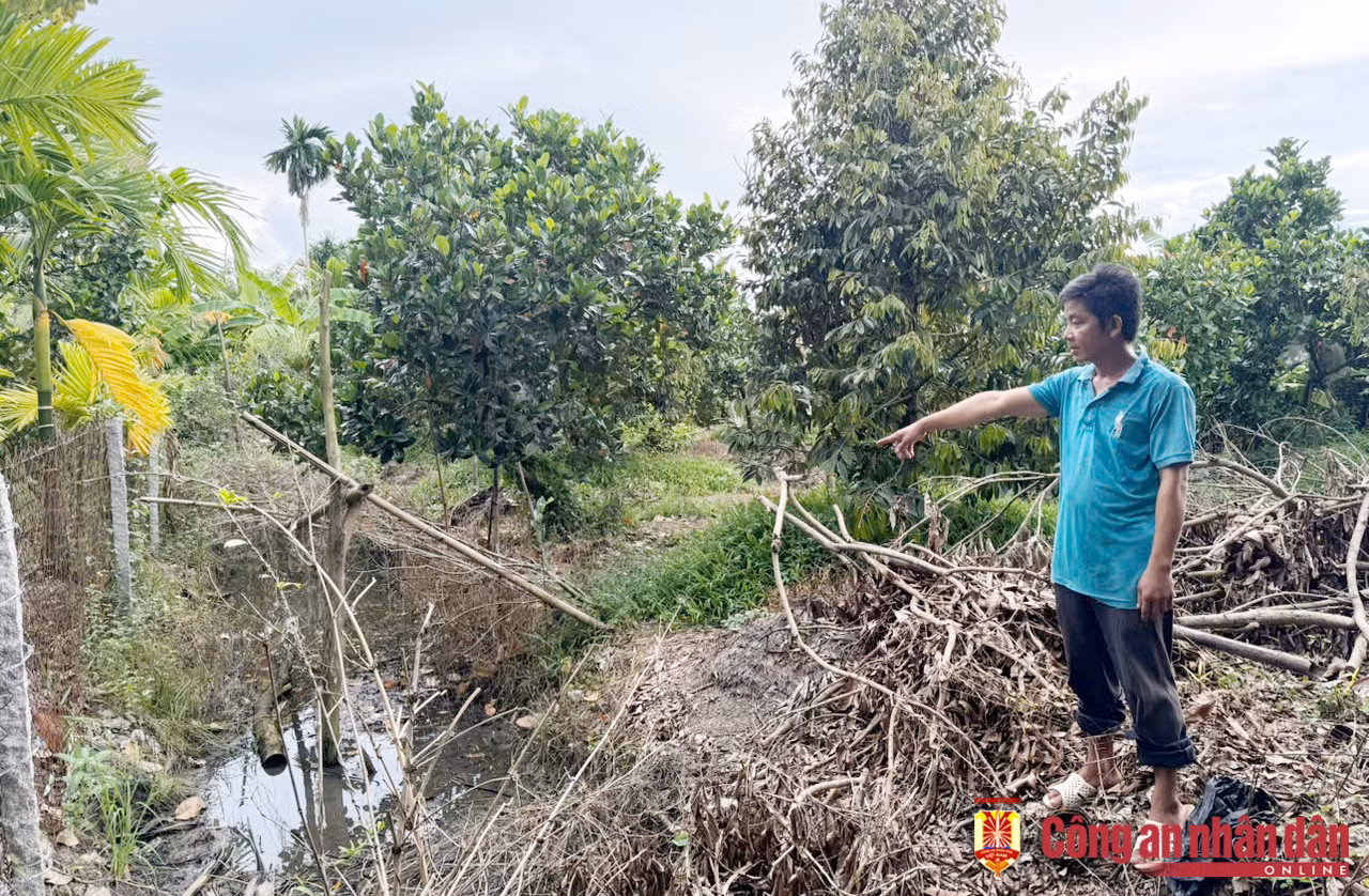 Chuyện thật như đùa ở Cần Thơ: Bị hàng xóm khởi kiện và tòa xử thua vì không chịu bán đất -0