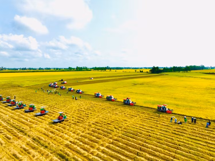 Khoa học công nghệ giúp giữ vị thế quốc gia xuất khẩu nông sản hàng đầu thế giới -0