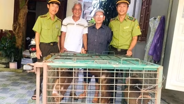 Cứu hộ động vật quý hiếm có tên trong Sách đỏ