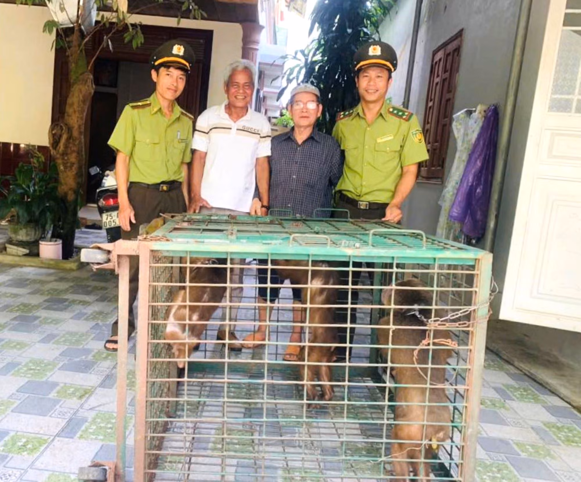 Cứu hộ nhiều cá thể động vật quý hiếm có tên trong Sách đỏ -0