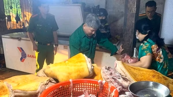 Gom thịt heo trôi nổi ôi thiu, nhiễm dịch tả lợn châu Phi về sơ chế để bán