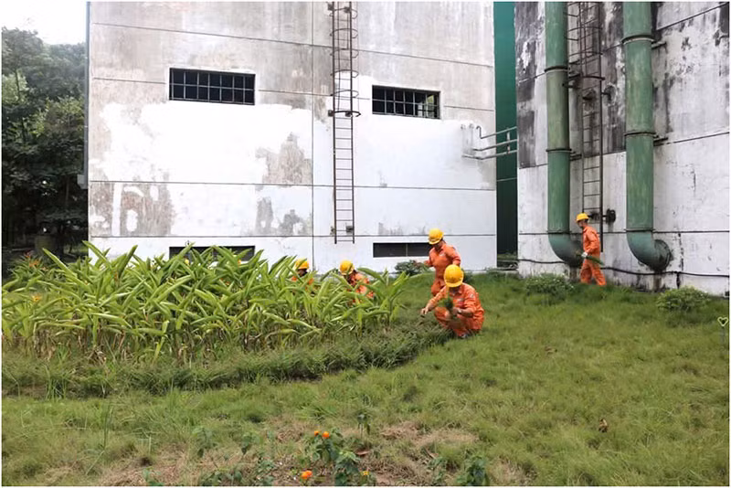 Công ty cổ phần Nhiệt điện Quảng Ninh hưởng ứng Tháng an toàn vệ sinh lao động năm 2025 -0