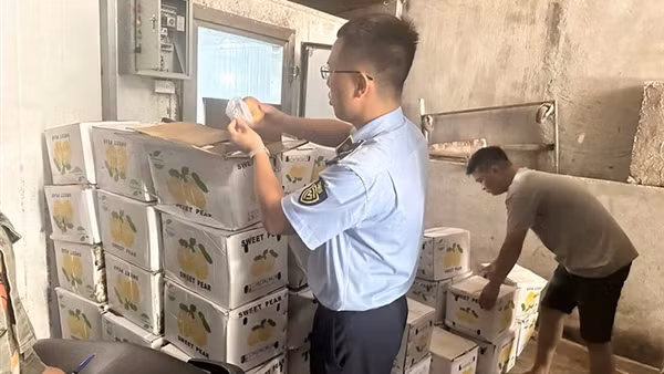 Quảng Ninh xử lý 56 vụ vi phạm an toàn thực phẩm, tiêu hủy hàng gần 1,7 tỷ đồng
