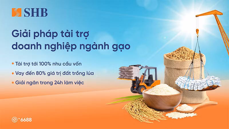 SHB ra mắt giải pháp tài trợ linh hoạt cho ngành gạo, đồng hành cùng Chính phủ phát triển nông nghiệp bền vững -0
