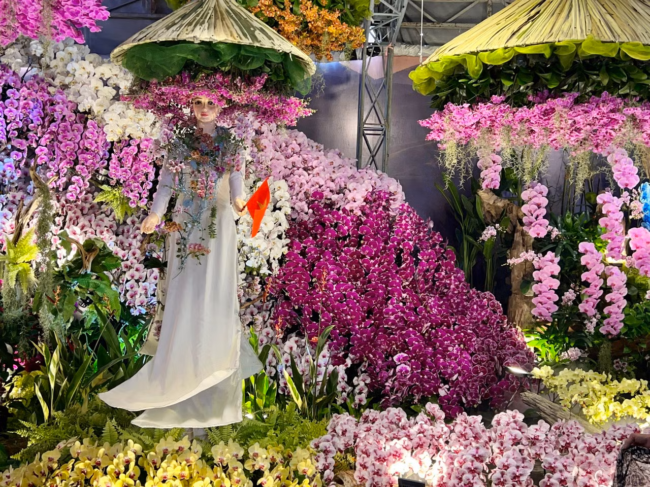 Khai mạc Festival hoa lan lần 3: Hành trình “Chuyến tàu đa sắc” kết nối văn hóa và thương mại -0