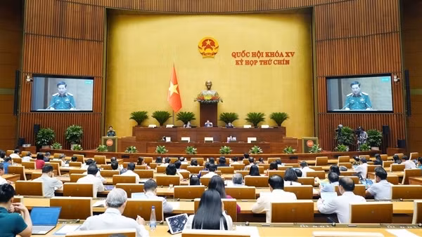 Chính phủ trình tờ trình Luật Tham gia lực lượng gìn giữ hòa bình của Liên Hợp quốc