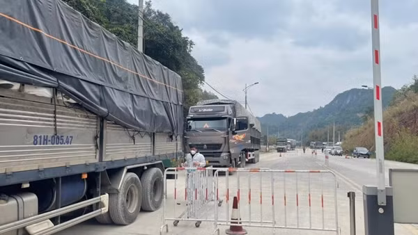 Gần 1700 xe chờ xuất khẩu, chỉ 179 xe được thông quan trong ngày ảnh 3