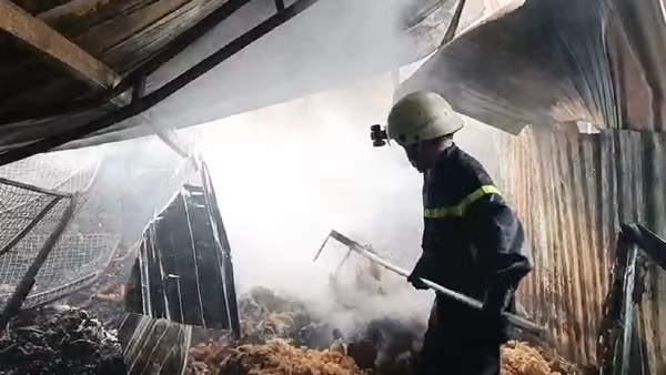Cả trăm Cảnh sát chữa cháy xưởng gỗ trong khu dân cư