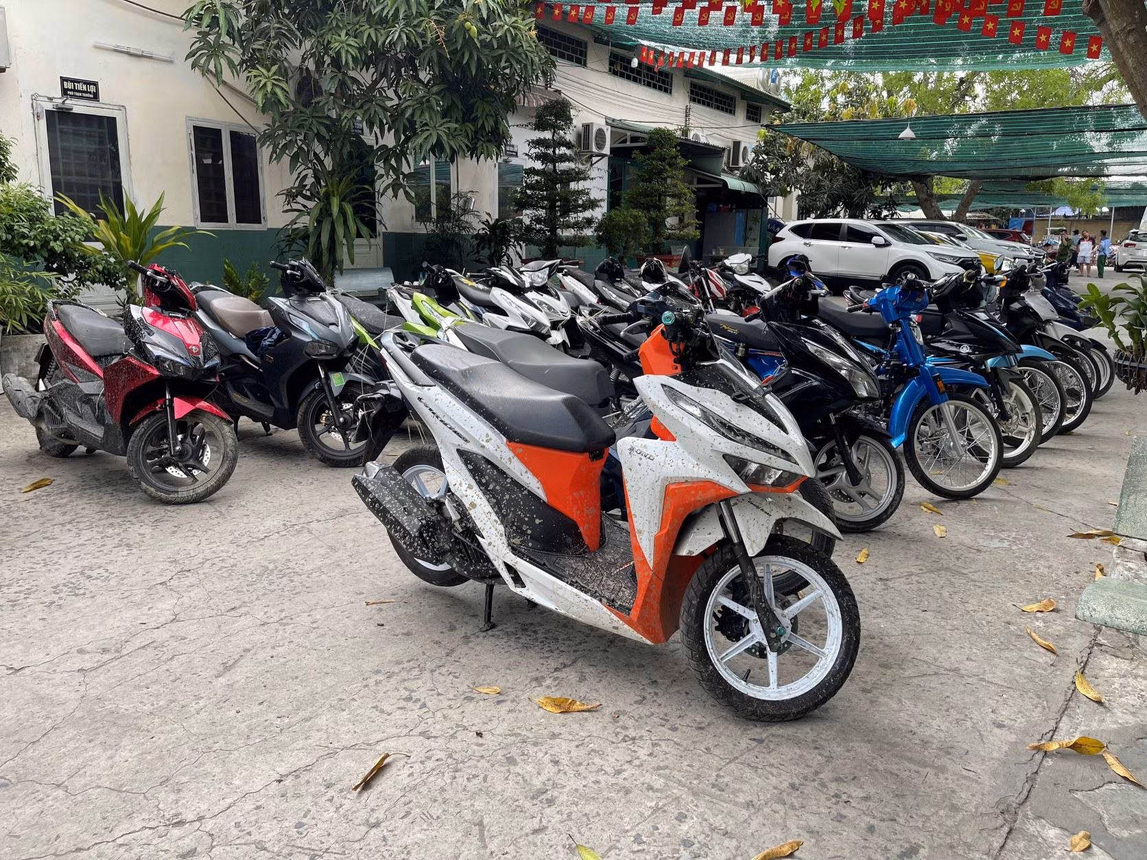 Hơn 100 