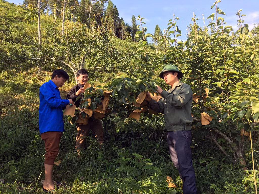 Nắng ấm bản sương giăng -0