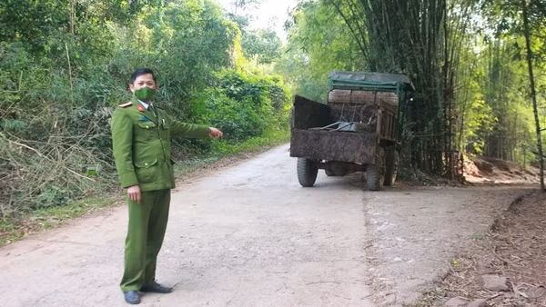 Hạnh phúc từ những việc “không tên” ảnh 3