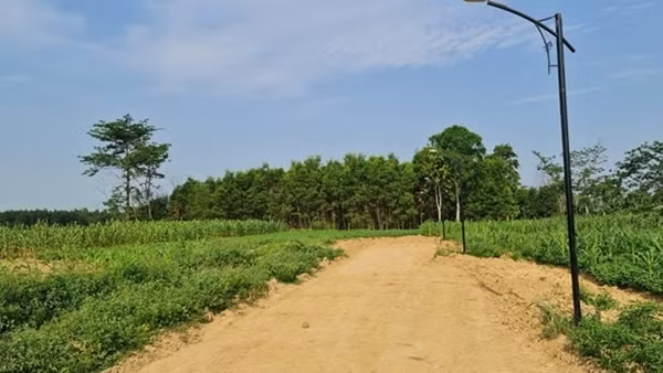 Nhiều vùng nông thôn Quảng Trị “sốt đất” do đâu? ảnh 3