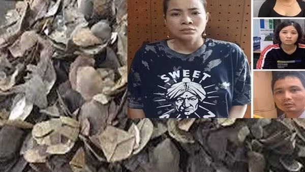 Người dân bàn giao cá thể tê tê Java quý hiếm ảnh 3