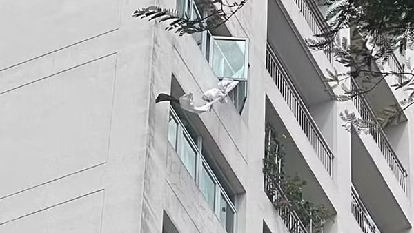 Hà Nội: Khách thuê trọ bất ngờ rơi từ tầng 6 ảnh 2