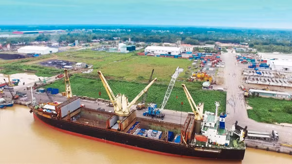 TP Hồ Chí Minh: Thu 3.000 tỷ đồng phí cảng biển mỗi năm để tái đầu tư ảnh 1