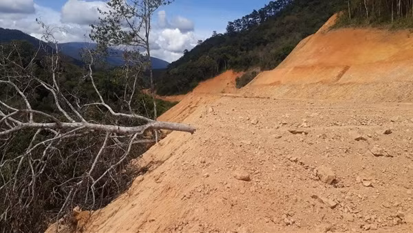 San ủi, hủy hoại đất quy mô lớn ở Lâm Đồng ảnh 5