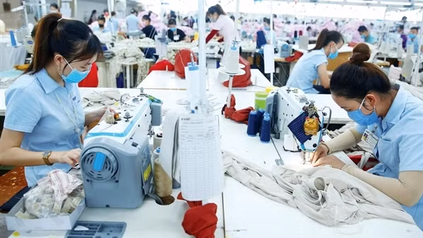 Bát nháo “cò” tìm việc ảnh 6