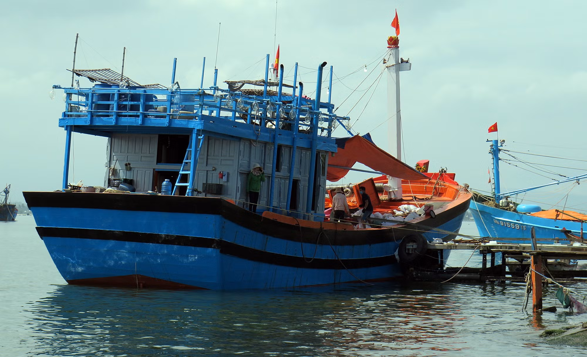 Ngư dân náo nức đi “hái lộc” biển ngay những ngày đầu năm -0