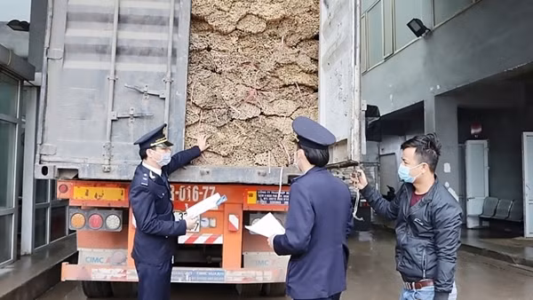 Lực lượng kiểm tra sau thông quan ấn định thuế và xử phạt hành chính 1.100 tỷ đồng