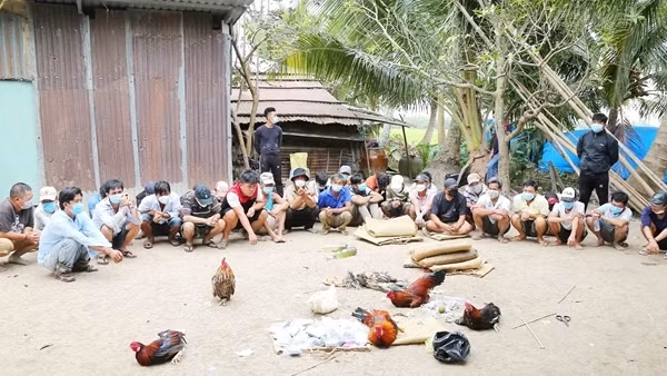 Triệt phá sới đá gà ăn tiền trong nhà, thu giữ hàng trăm triệu đồng ảnh 3