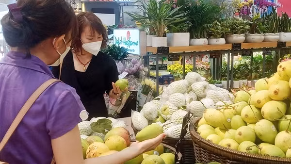 Giải pháp nào để "thương mại và phân phối" của Việt Nam phục hồi trong đại dịch COVID - 19? ảnh 3