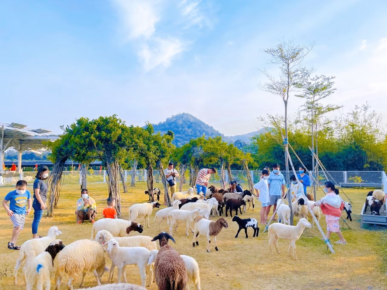 Khu du lịch sinh thái An Hảo sáng điện đón xuân -0