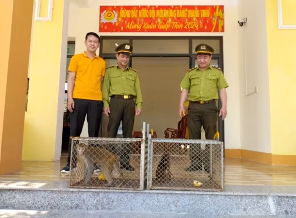 Thả nhiều động vật hoang dã quý hiếm về Vườn quốc gia Phong Nha Kẻ Bàng -0