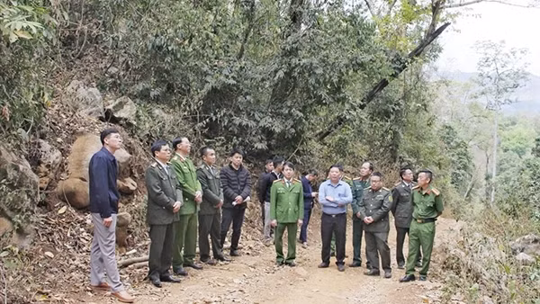 Sơn La: Chủ động phòng cháy, chữa cháy rừng