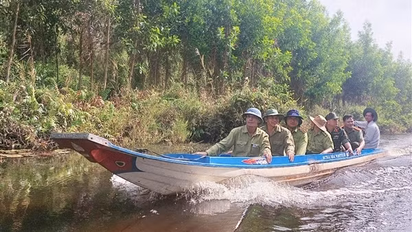 Phối hợp làm tốt công tác phòng, chống cháy rừng