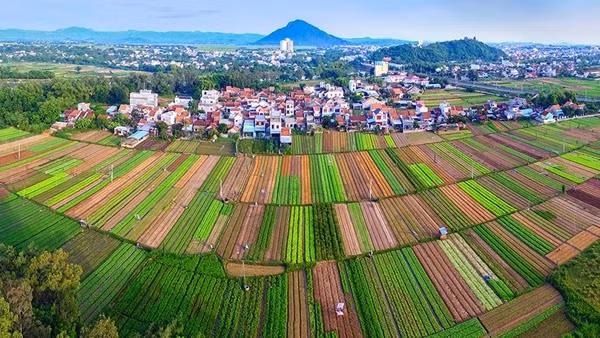 Bình yên làng nghề chuyên canh rau, hoa ở Tuy Hòa