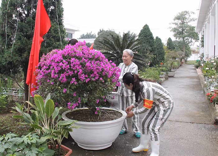 “Bà trùm” ma túy Thanh Nhàn Cao Thị Lan: Hồi sinh từ cõi chết -0