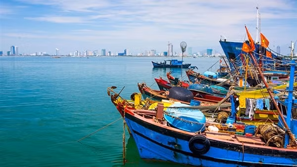 Không còn nhiều thời gian gỡ “thẻ vàng” thuỷ sản