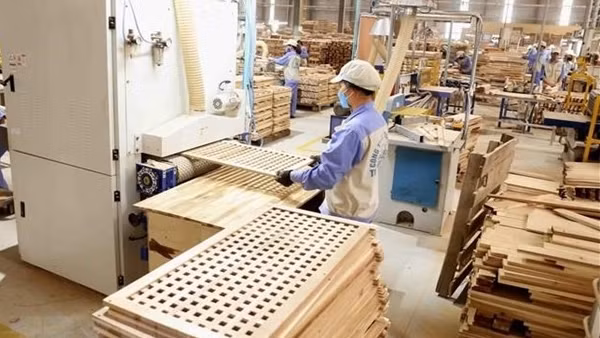 Chính sách kinh tế vĩ mô làm giảm tác động của dịch COVID-19 ảnh 2
