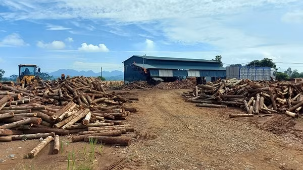 Thuê đất của xã rồi xây dựng công trình trái phép