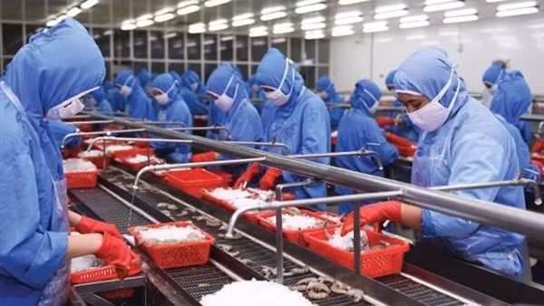 100% xe hàng xuất nhập khẩu qua cửa khẩu Tân Thanh và Hữu Nghị đã thực hiện khai báo trực tuyến ảnh 3