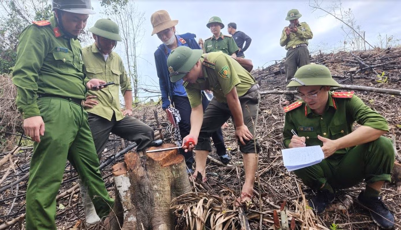 Điều tra vụ cán bộ Khu bảo tồn Kẻ Gỗ thuê người phá rừng -0