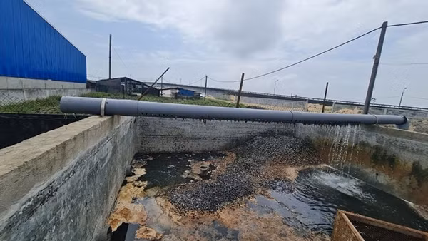 Nhiều điều bất thường tại các cảng cá ở Quảng Trị
