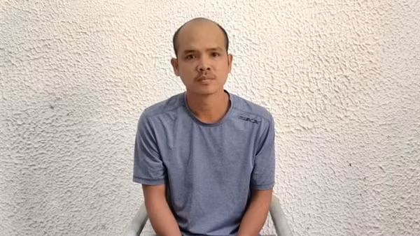 Hủy hoại rừng rồi ẩn náu, trốn nã