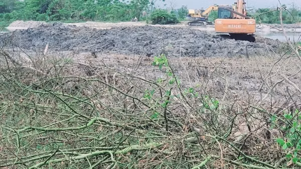 Đình chỉ thi công dự án sau vụ nhà thầu san ủi rừng ngập mặn