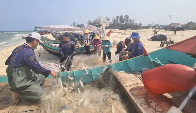 Ngư dân trúng “mùa vàng lộc biển” thu về cả trăm triệu đồng -0
